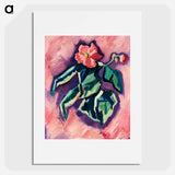 Pink Begonias - Marsden Hartley Poster.