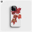 1-2_Mary-Vaux-Walcott_phone
