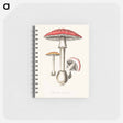 アートメモ帳-Amanita muscaria
 - 薬用植物学 Memo.