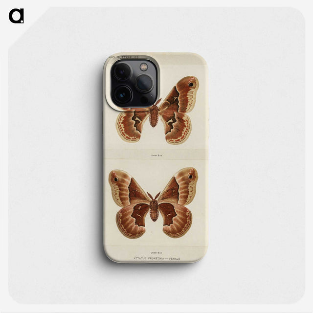 1-2_Moths-and-Butterflies-of-the-United-States_phone