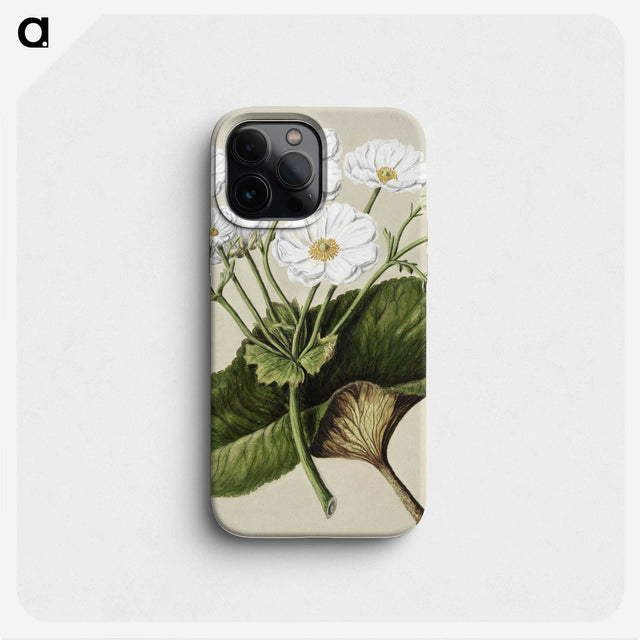 1-2_Native-Flowering-Plants-of-New-Zealand_phone
