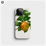 1-2_Nederlandsche-Flora-en-Pomona_phone