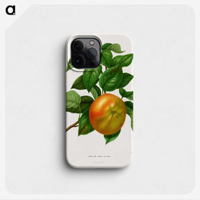 1-2_Nederlandsche-Flora-en-Pomona_phone