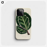 1-2_New-and-Rare-Beautiful-Leaved-Plants_phone