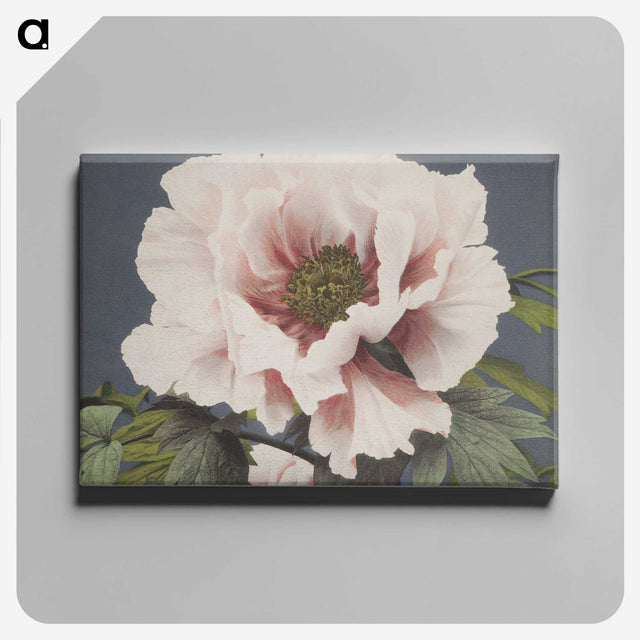 1-2_Ogawa-Kazumasa_canvas