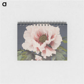 アートメモ帳-Beautiful photomechanical prints by Ogawa Kazumasa. - 小川 一正 Memo.