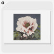 1-2_Ogawa-Kazumasa_picture