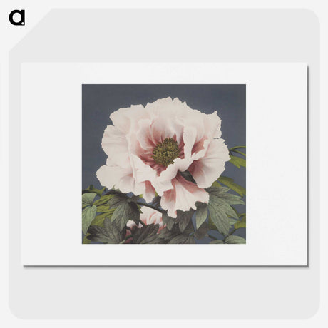 1-2_Ogawa-Kazumasa_picture