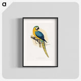 1-2_Parrots-in-Captivity_blk