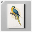 1-2_Parrots-in-Captivity_canvas