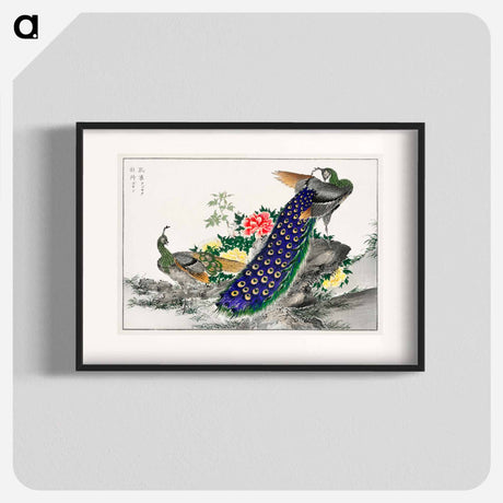アートポスター-Peacock and Peony
 - 鳥類図鑑 Poster.