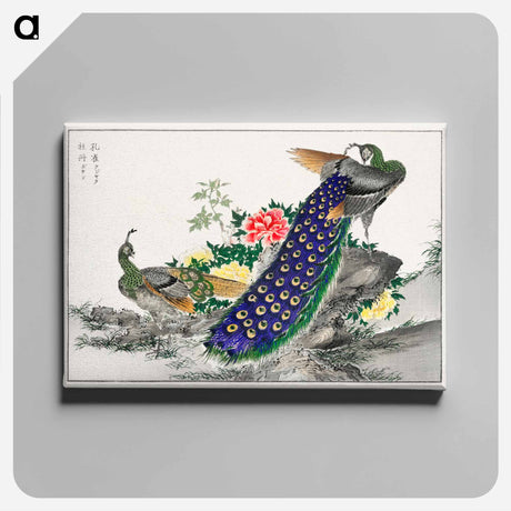 アートパネル-Peacock and Peony
 - 鳥類図鑑 Canvas.