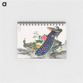 アートメモ帳-Peacock and Peony
 - 鳥類図鑑 Memo.