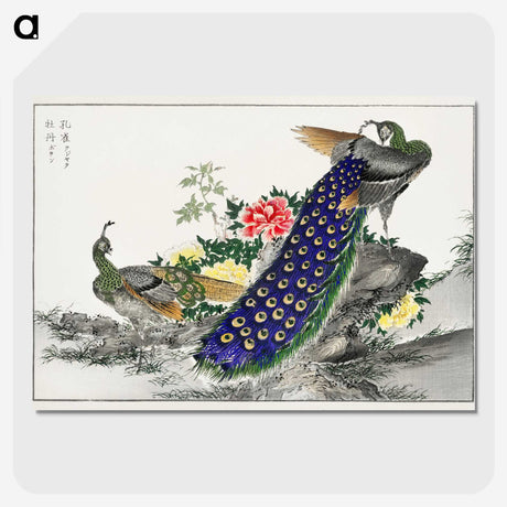 1-2_Pictorial-Monograph-of-Birds_picture-crop