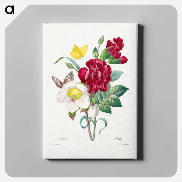 アートパネル-Hellebore and Oeillet - ピエール ジョゼフ ルドゥーテ Canvas.