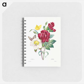 アートメモ帳-Hellebore and Oeillet - ピエール ジョゼフ ルドゥーテ Memo.