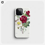 1-2_Pierre-Joseph-Redoute_phone