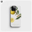 1-2_Pomona-Italiana_phone