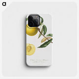 1-2_Pomona-Italiana_phone