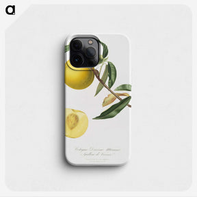 1-2_Pomona-Italiana_phone