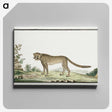 1-2_Robert-Jacob-Gordon_canvas