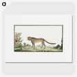 1-2_Robert-Jacob-Gordon_picture