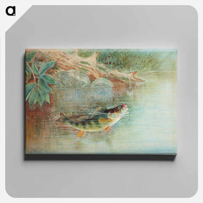 アートパネル-Yellow Perch
 - サミュエル キルボーン Canvas.