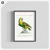 Parrot
 - サヴェリオ マネッティ Poster.
