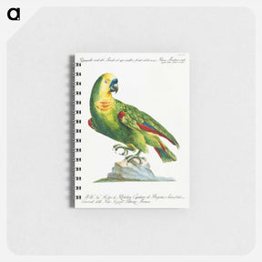アートメモ帳-Parrot
 - サヴェリオ マネッティ Memo.