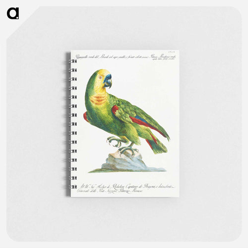 Parrot
 - サヴェリオ マネッティ Memo.