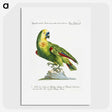 1-2_Saverio-Manetti_picture
