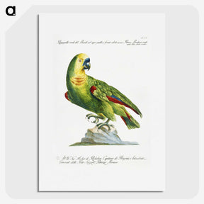 1-2_Saverio-Manetti_picture