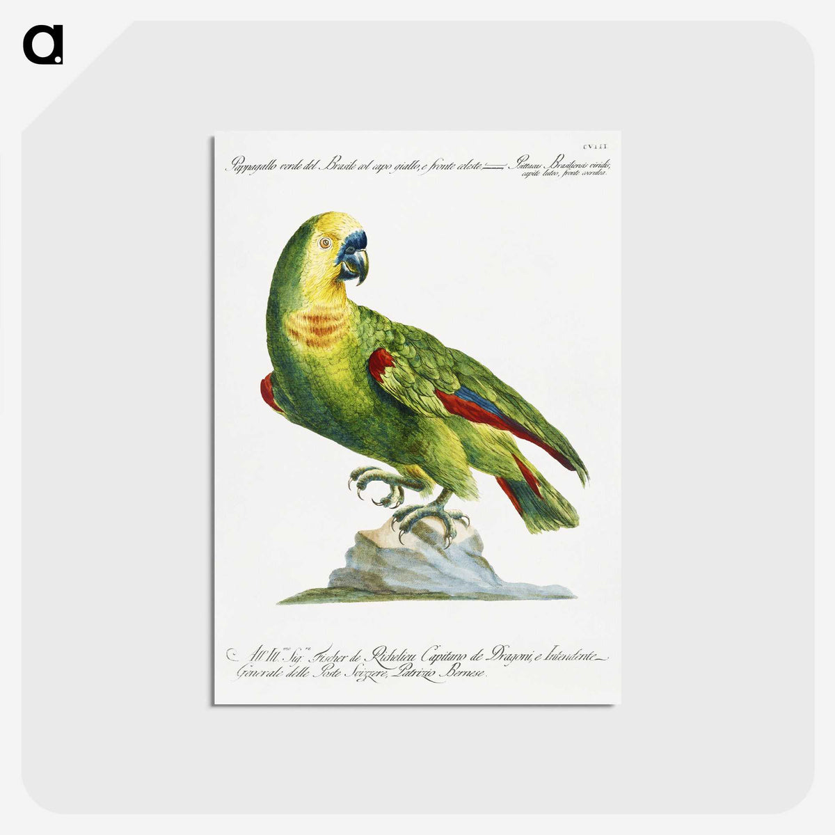 1-2_Saverio-Manetti_postcard