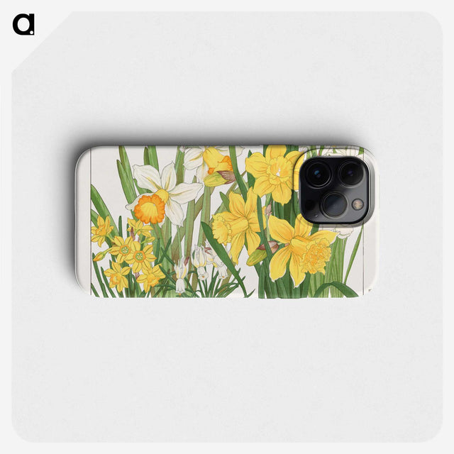 1-2_Seiyo-Soka-Zufu_phone