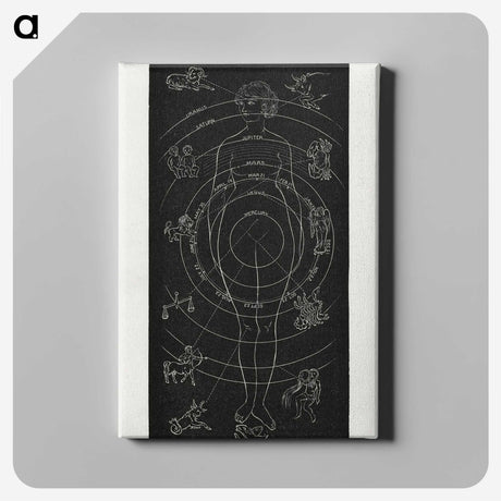1-2_Solar-Biology_canvas
