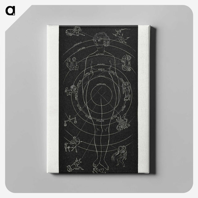 1-2_Solar-Biology_canvas