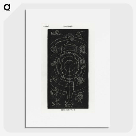 1-2_Solar-Biology_picture