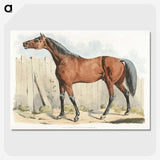 1-2_Sporting-Sketches_picture-crop