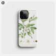 1-2_Stirpes-Novae_phone