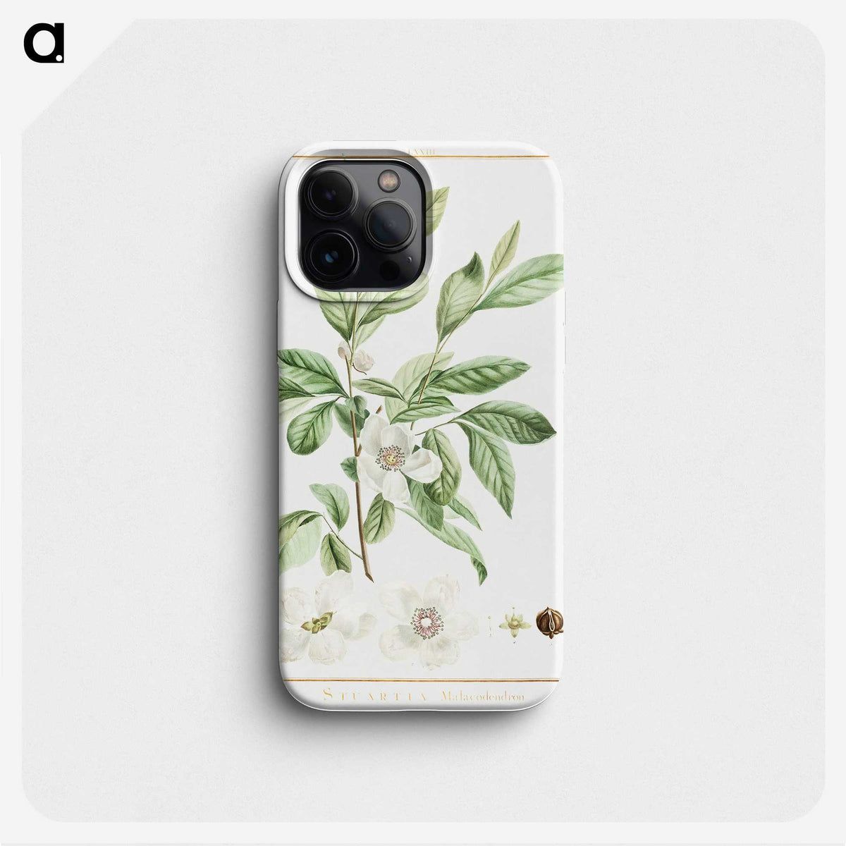 1-2_Stirpes-Novae_phone