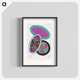 1-2_Suggestions-Pour-Etoffes-et-Tapis_blk
