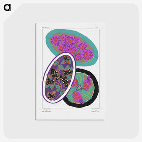 1-2_Suggestions-Pour-Etoffes-et-Tapis_postcard