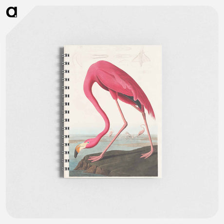 アートメモ帳-Pink Flamingo from Birds of America
 - アメリカの鳥たち Memo.