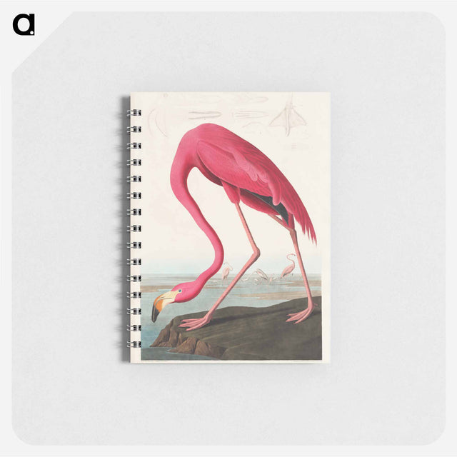 アートメモ帳-Pink Flamingo from Birds of America
 - アメリカの鳥たち Memo.