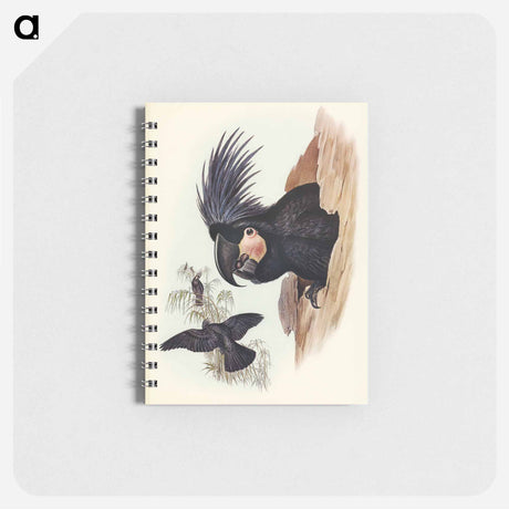 アートメモ帳-Great Palm-Cuckatoo
 - オーストラリアの鳥 Memo.
