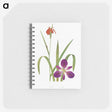 1-2_The-Genus-Iris_memo