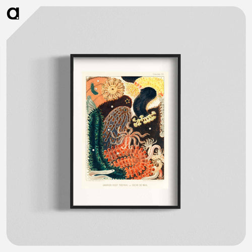 Barrier Reef Trepang or Bêche-de-Mer - オーストラリアのグレートバリアリーフ Poster.