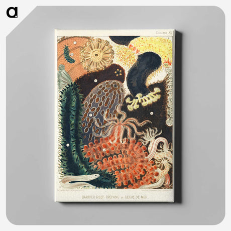 1-2_The-Great-Barrier-Reef-of-Australia_canvas