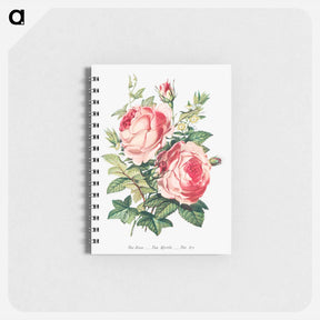 アートメモ帳-The Rose, the Myrtle and the Ivy from The Language of Flowers, or, Floral Emblems of Thoughts, Feelings, and Sentiments
 - 花言葉 Memo.