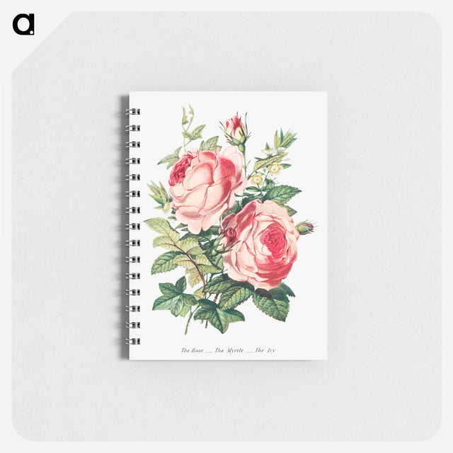 アートメモ帳-The Rose, the Myrtle and the Ivy from The Language of Flowers, or, Floral Emblems of Thoughts, Feelings, and Sentiments
 - 花言葉 Memo.